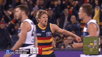 round 17 celebration GIF by Adelaide Crows
