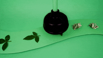 200.gif?cid=fc005b087b80952c00cf6c5a2544214f8aca38b2358b8c6b&rid=200.gif&ct=g
