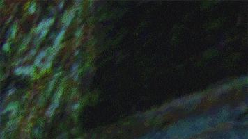 GIF by Almeida Theatre