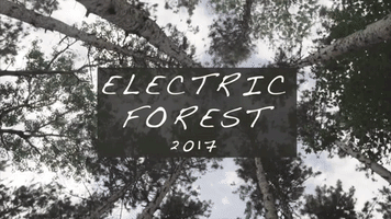 electric forest dance GIF by Casablanca Records