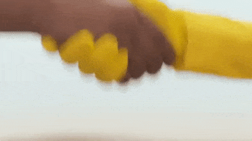 Link Lego GIF by Tierra Whack