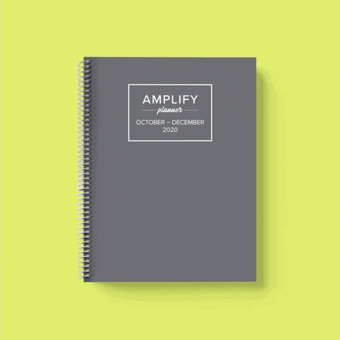 Takebackyouryear GIF by Amplify Planner