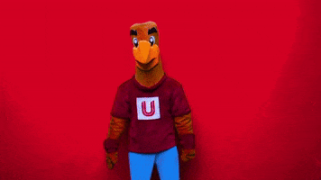 universidad GIF by UPAEP