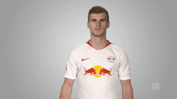 rb leipzig GIF by Bundesliga