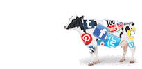 Social Media Marketing Sticker by SocialCow