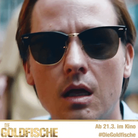 Bildergebnis für sonnen brille gif