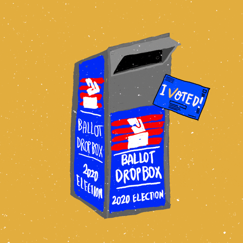 Vote Early Election 2020 GIF by adobetrisha