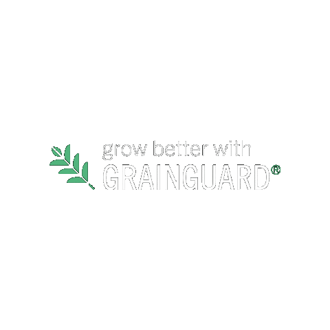 Seedforward Sticker