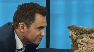 Tv News Yes GIF