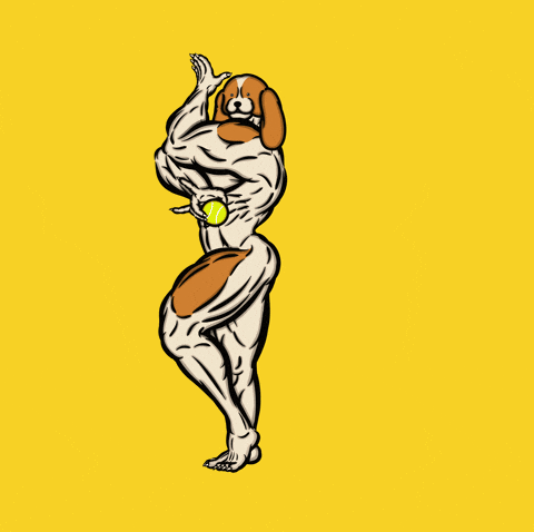 Dog Ball GIF