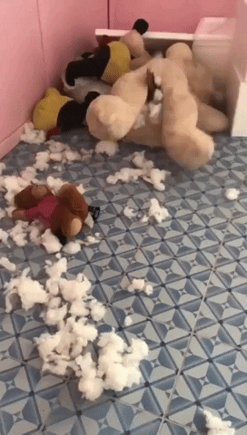 Video gif. Gigantic teddy bear, with stuffing ripped out onto the floor, appears to be rolling around on its own until we notice a small dog or cat is stuck in the bear's crotch, its tail sticking out as it tries to escape and the bear continues thrashing.