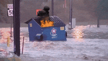 Giphy - Fire This Is Fine GIF by MOODMAN
