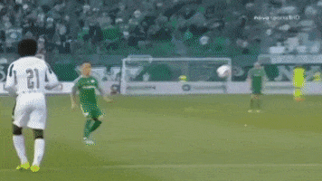 football goalkeeper GIF by PAOK FC
