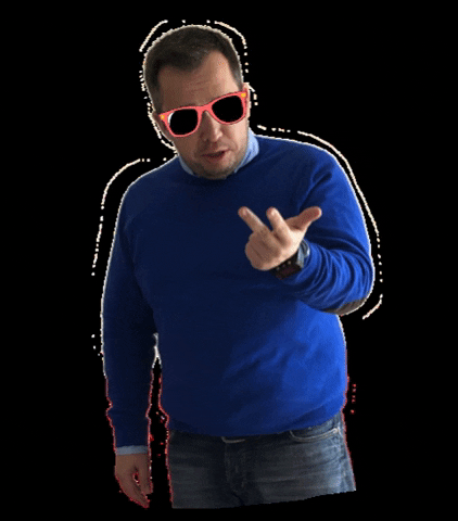 Geometra Geometraarmanini GIF