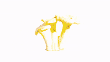 stop motion mushroom GIF by biancakennedy
