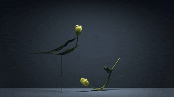 Time Lapse Film GIF by AnOther