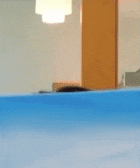 Hello GIF