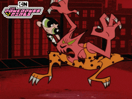 Powerpuff Girls Cat GIF by Cartoon Network