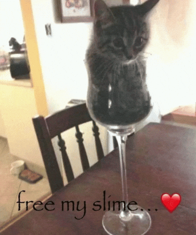 Cat Glass GIF by eay