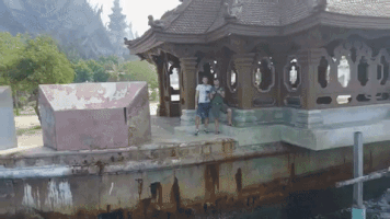 homeschool  GIF
