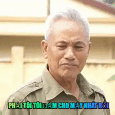 Vn Memes GIF
