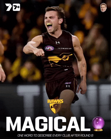 Hawthorn Hawks 7Afl GIF