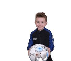 Z.V.V. Pelikaan Sticker