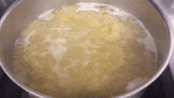 gastrogif  GIF
