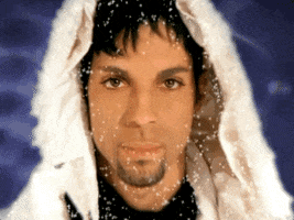 Betcha By Golly Wow Prince GIF