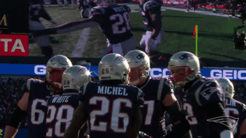 excited 2018 nfl GIF by New England Patriots