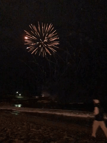 Happy New Year Fireworks GIF