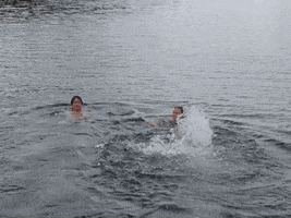 Rescue Bende Leonberger GIF