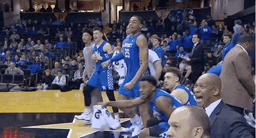 college basketball sport GIF by SEC Network