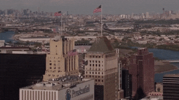 ver new york GIF by Red Bull Racing