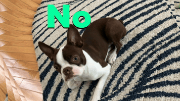 Luke Saying No GIF