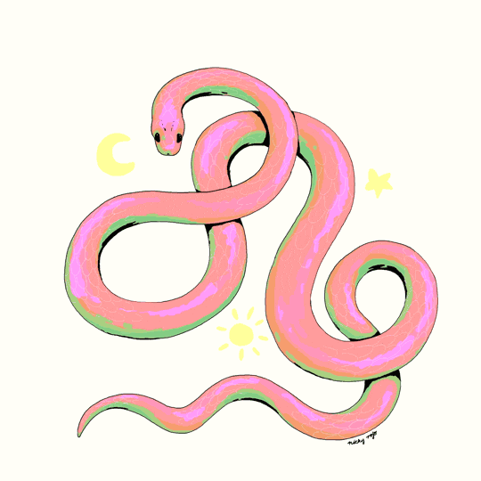 Sunbeam Snake GIFs Get the best GIF on GIPHY