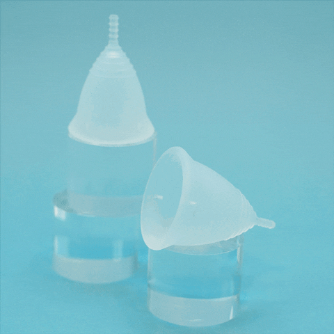 Menstrual Cup Tampax GIF by Put A Cup In It - Find & Share on GIPHY