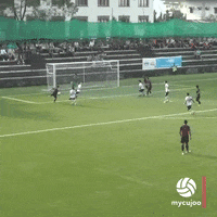No Problem Wow GIF by ELEVEN SPORTS