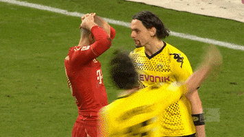 bundesliga passion GIF by Borussia Dortmund