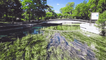 san marcos river GIF by Texas State Football