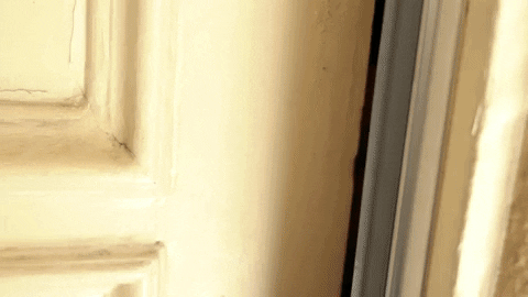 Answering The Door Gifs Get The Best Gif On Giphy