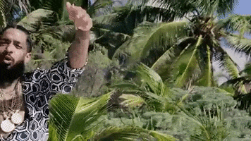 Palm Tree Vacation GIF by Nipsey Hussle