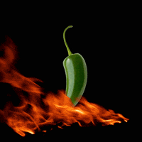 fire warning GIF by MatPrat
