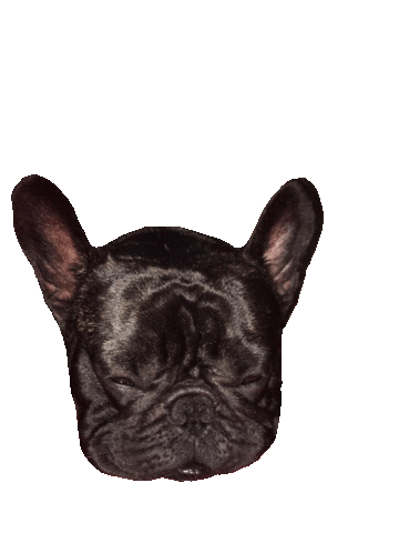 Dog Pet Sticker by Grafox