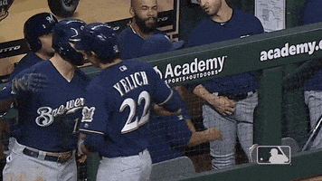 major league baseball hug GIF by MLB