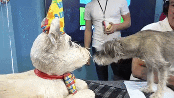 hungry happy birthday GIF by Elvis Duran Show