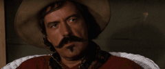Movie gif. Powers Boothe as Bill in Tombstone gazes forward as if indifferent. Text, "Well... bye." 