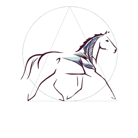 Horse Cheval Sticker by Dessus Dessous Sport