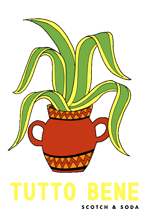 Scotch & Soda GIFs on GIPHY Be Animated