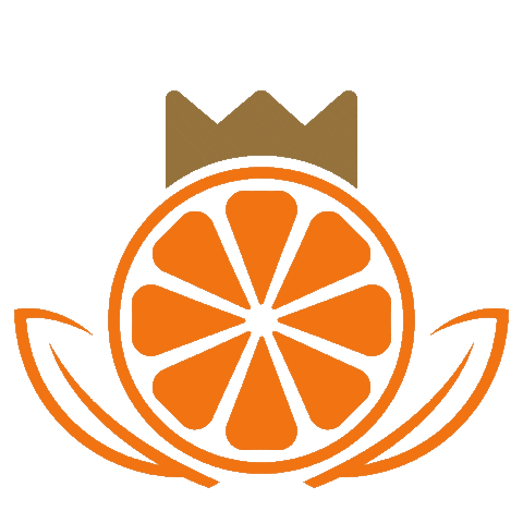 Municipio de General Terán NL Sticker